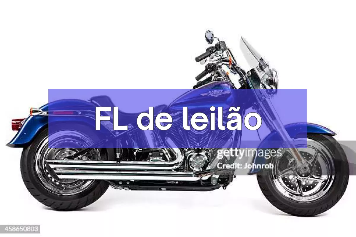 FL em leilão