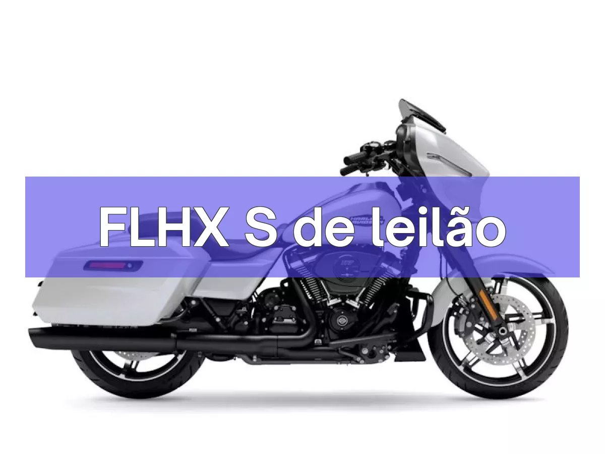 FLHX S em leilão
