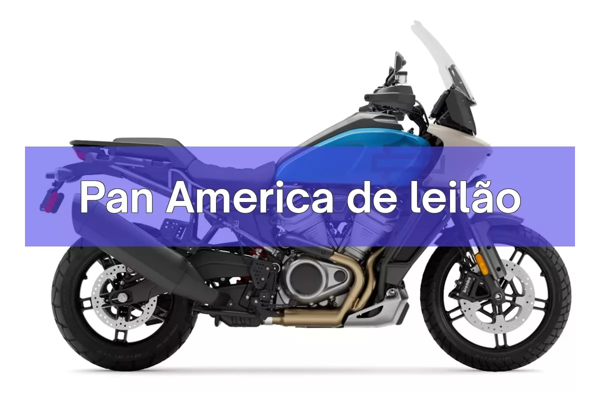 Pan America em leilão