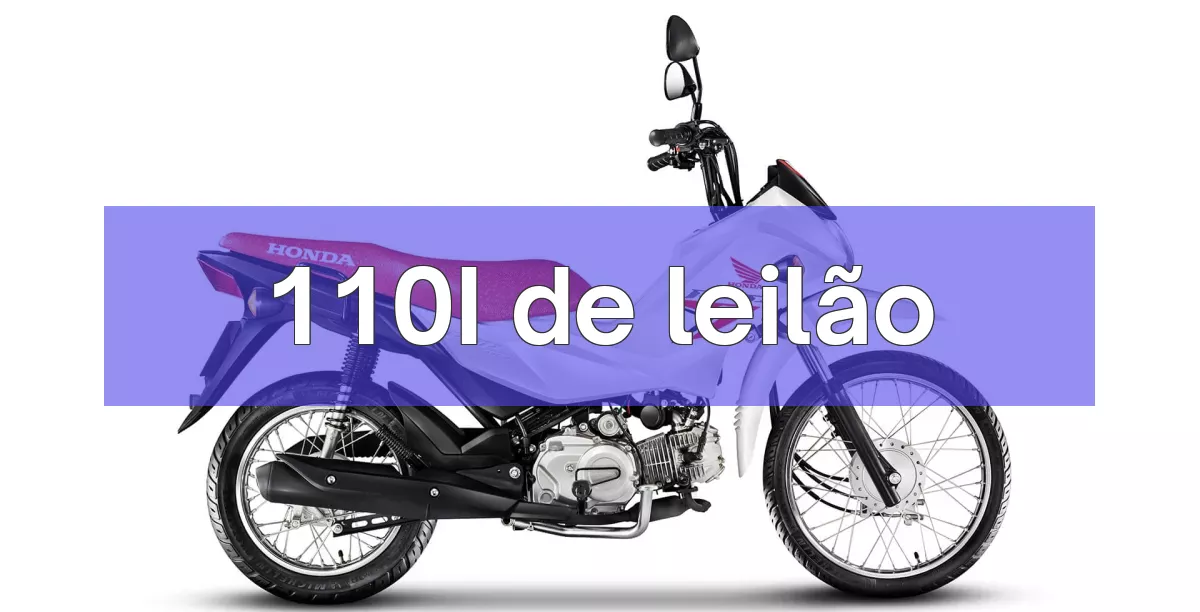110I em leilão