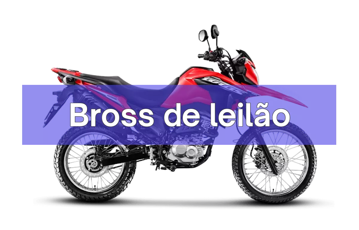 Bross em leilão