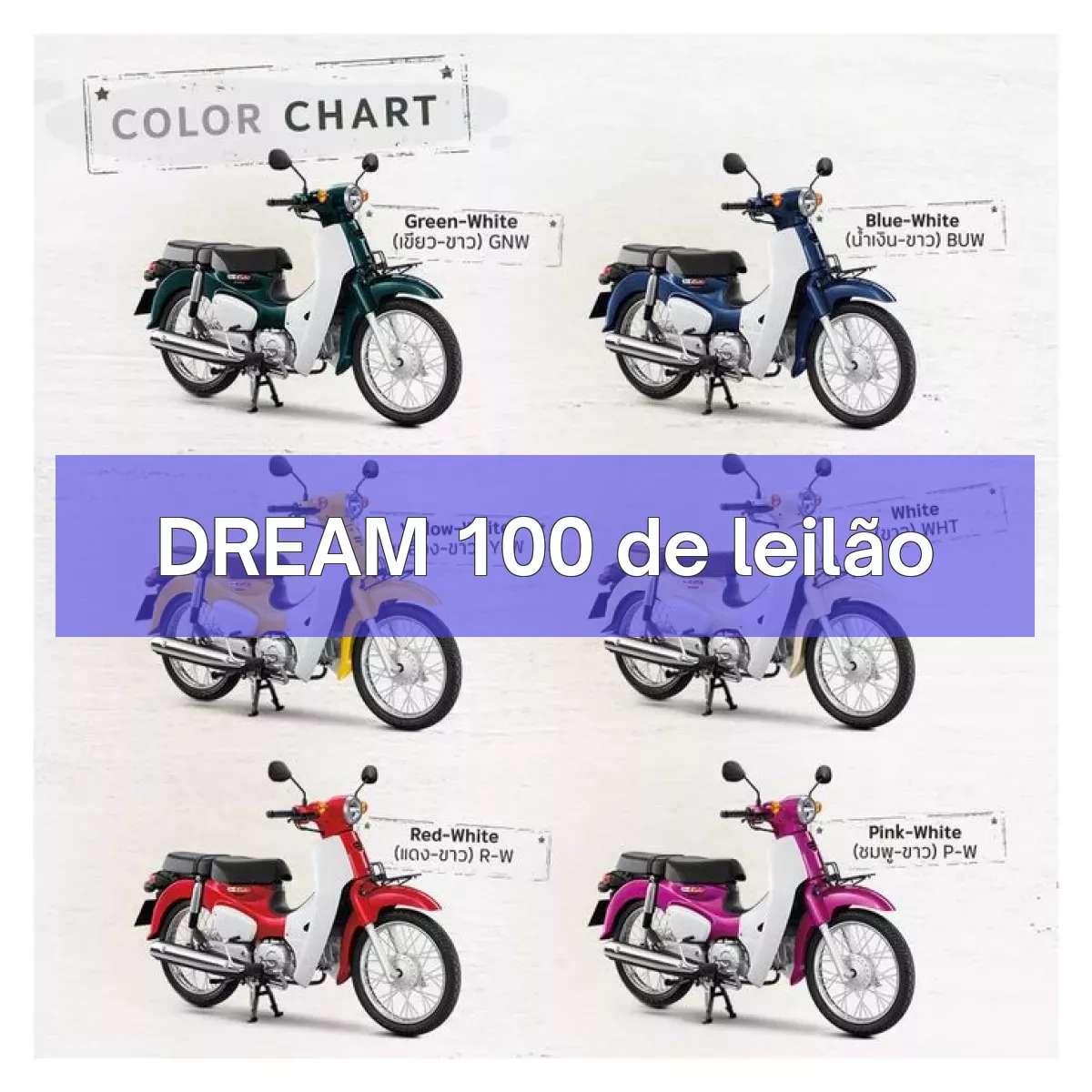 DREAM 100 em leilão