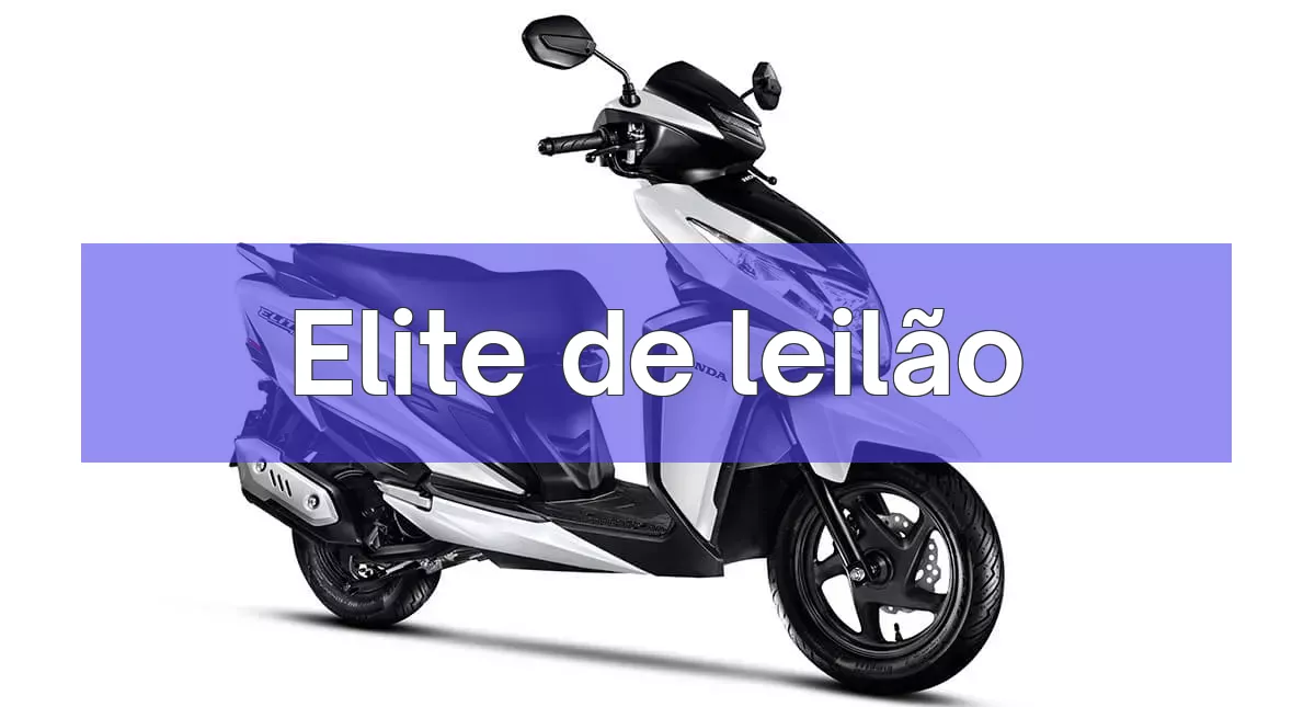 Elite em leilão