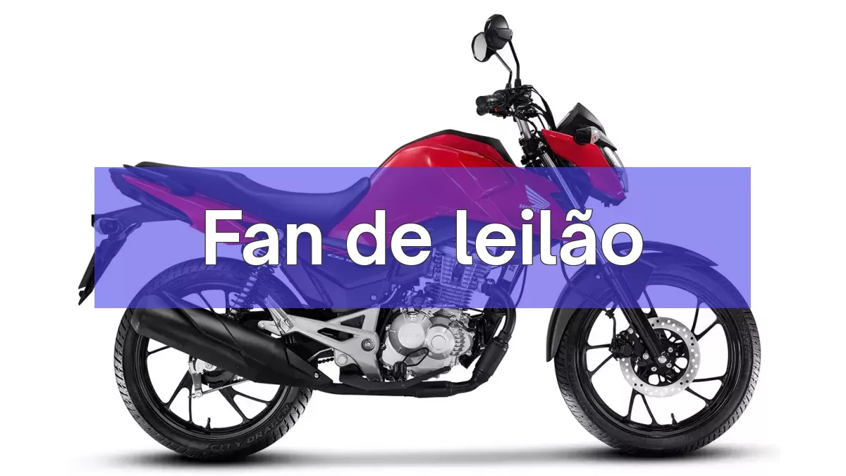 Fan em leilão