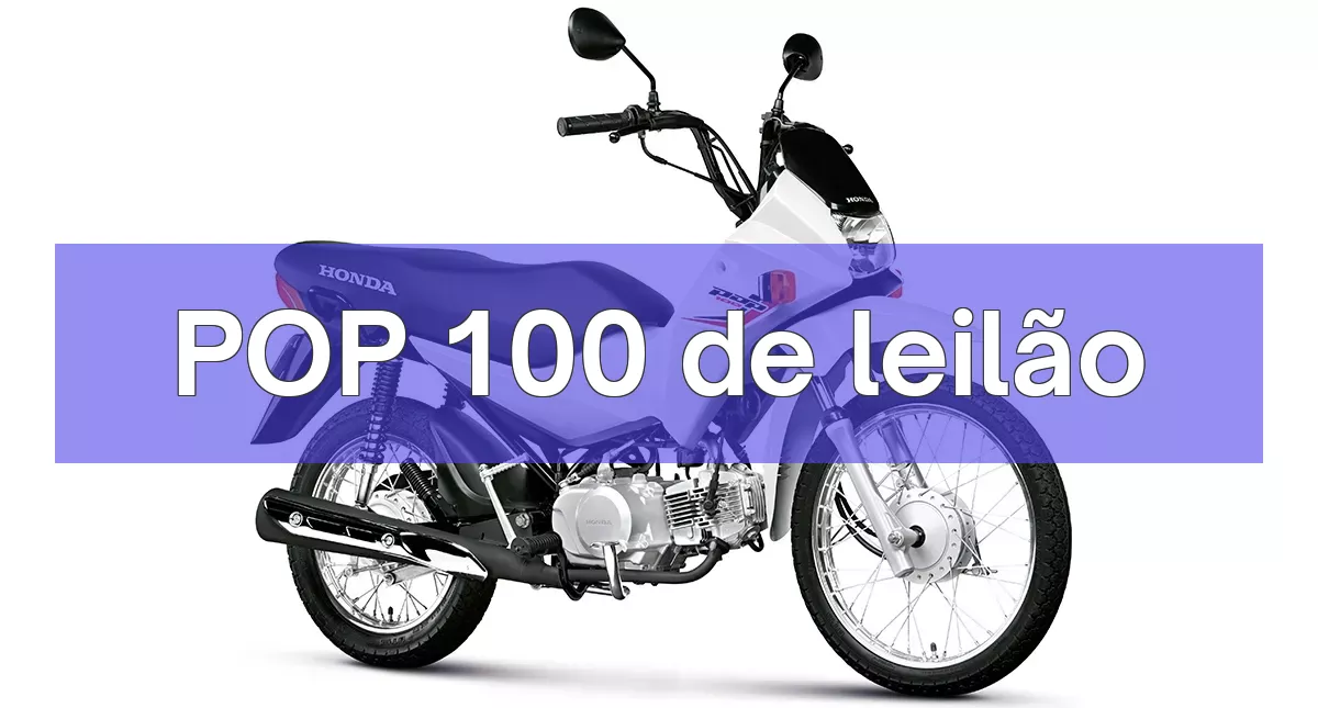 POP 100 em leilão