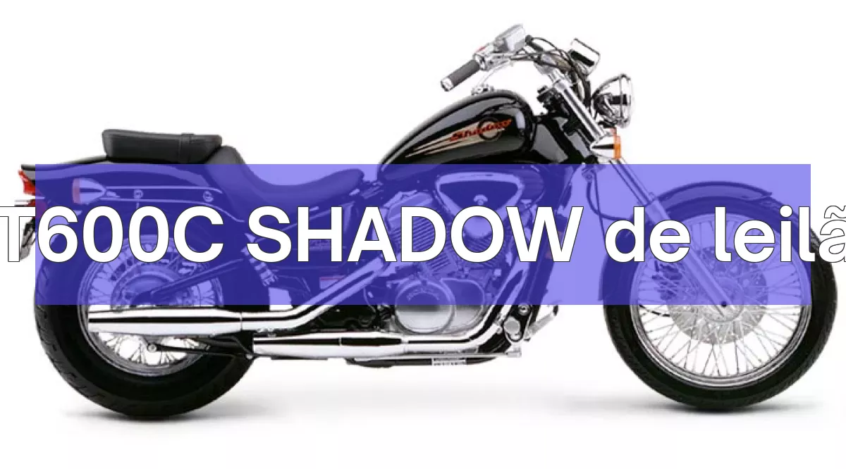 VT600C SHADOW em leilão