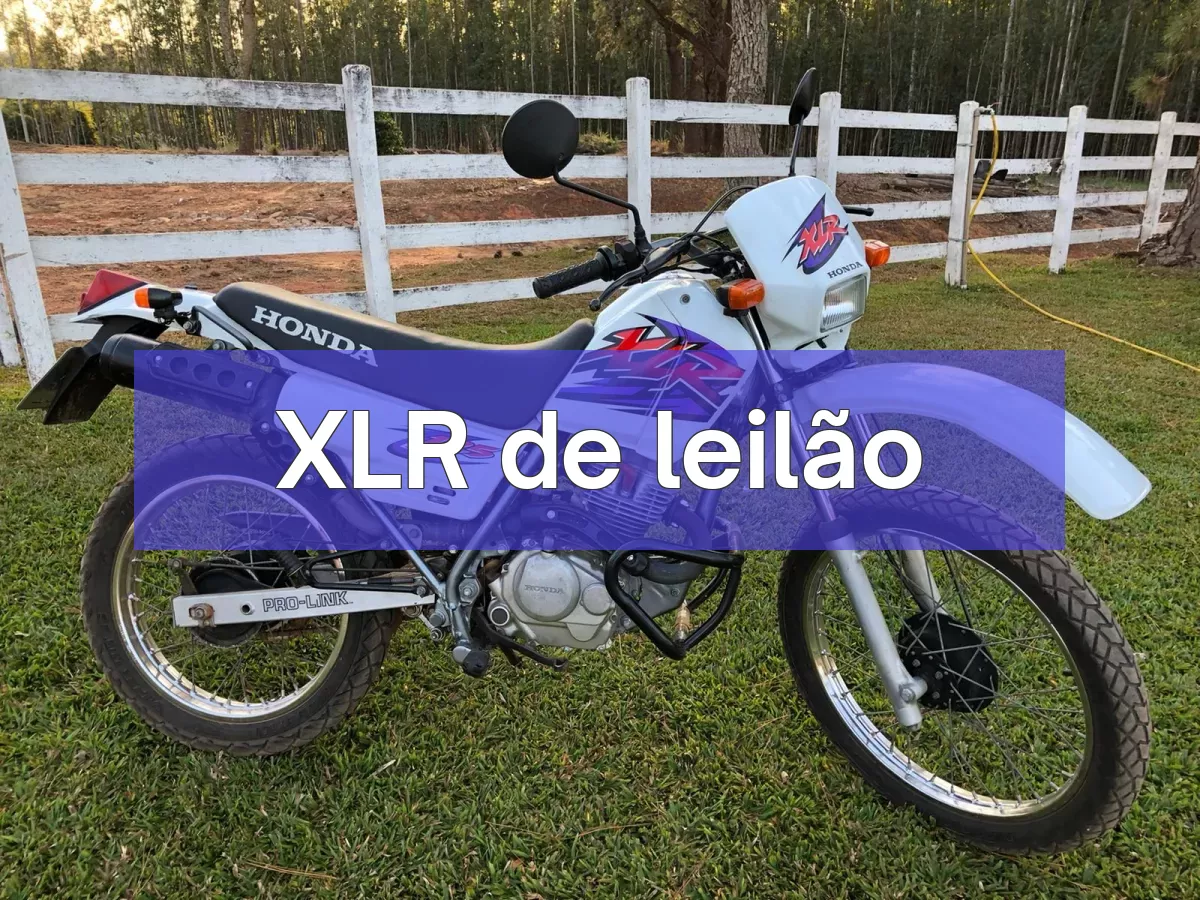 XLR em leilão
