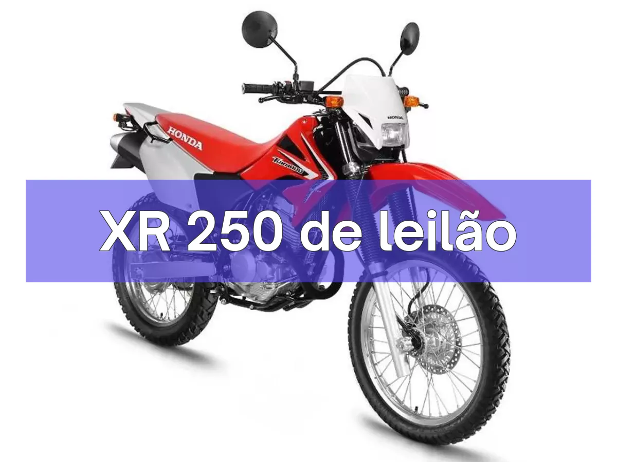 XR 250 em leilão