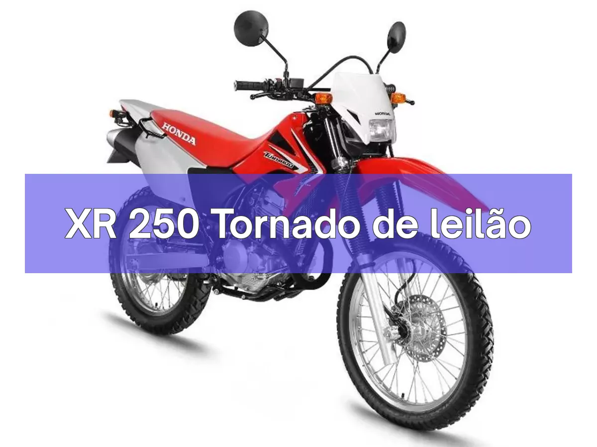 XR 250 Tornado em leilão