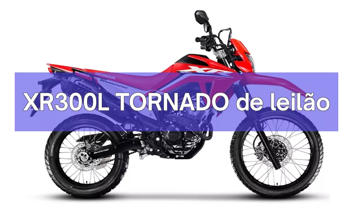 XR300L TORNADO em leilão