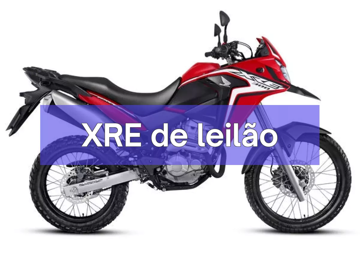 XRE em leilão