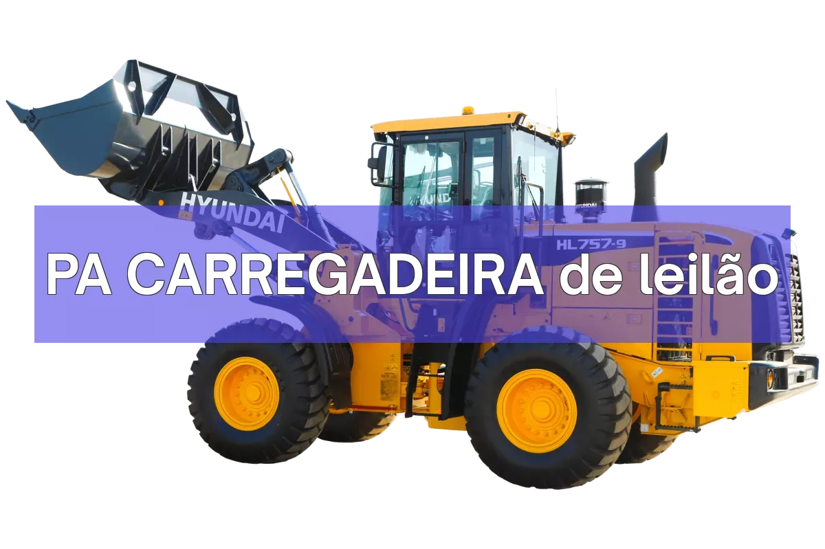 PA CARREGADEIRA em leilão