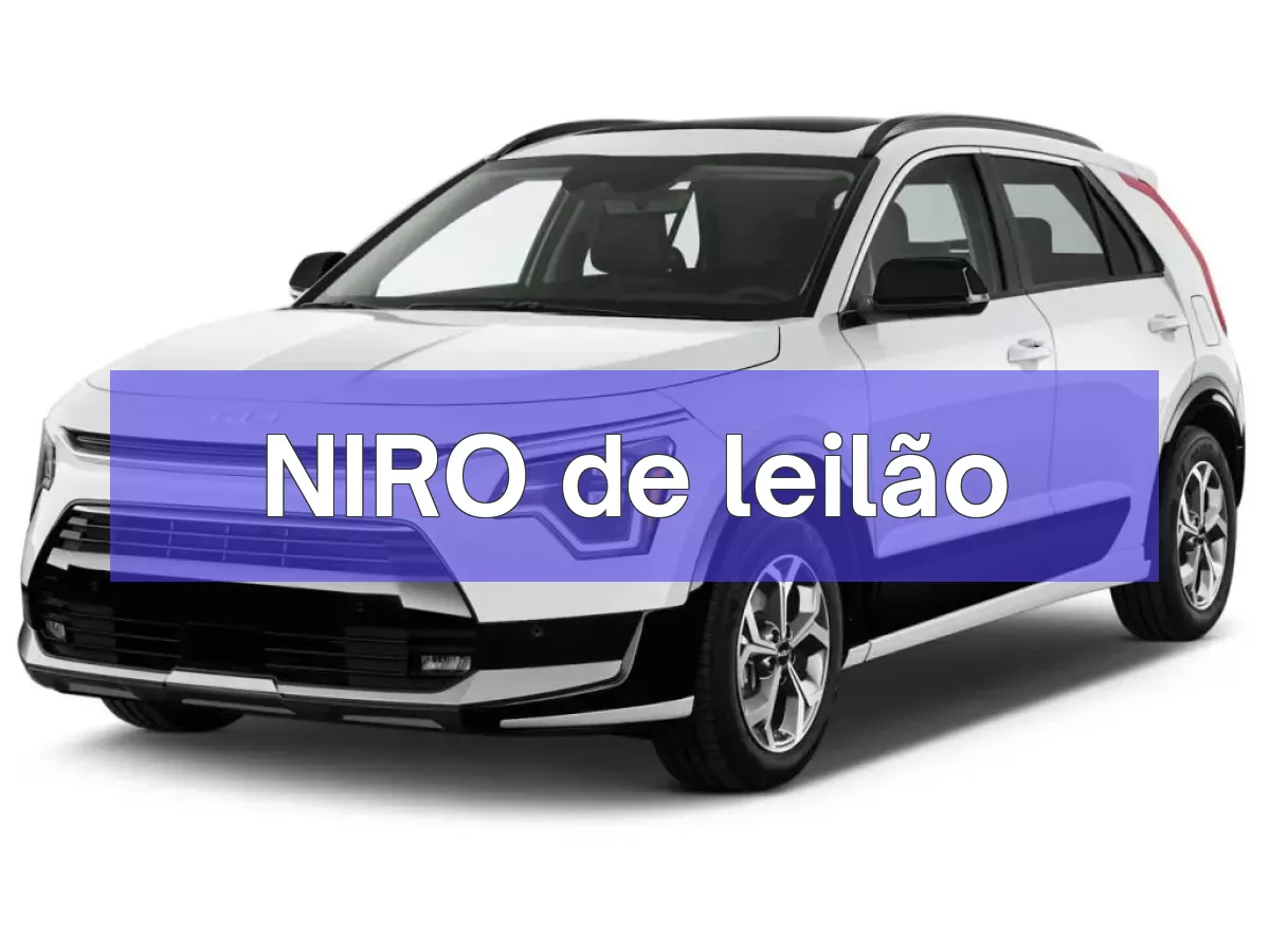 NIRO em leilão