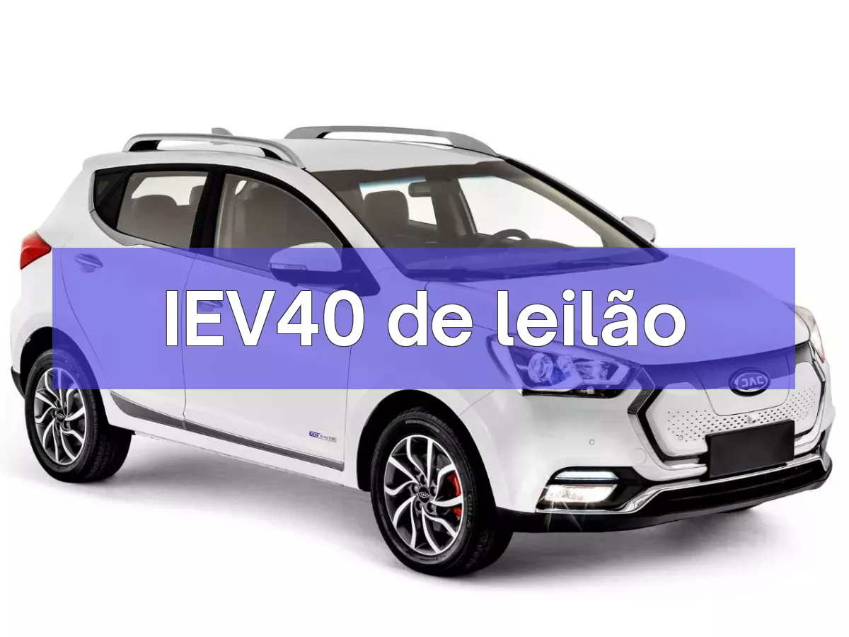 IEV40 em leilão