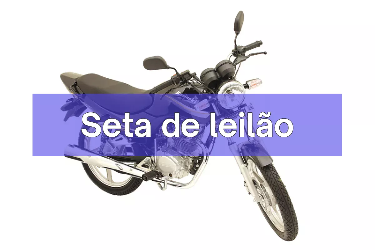 Seta em leilão