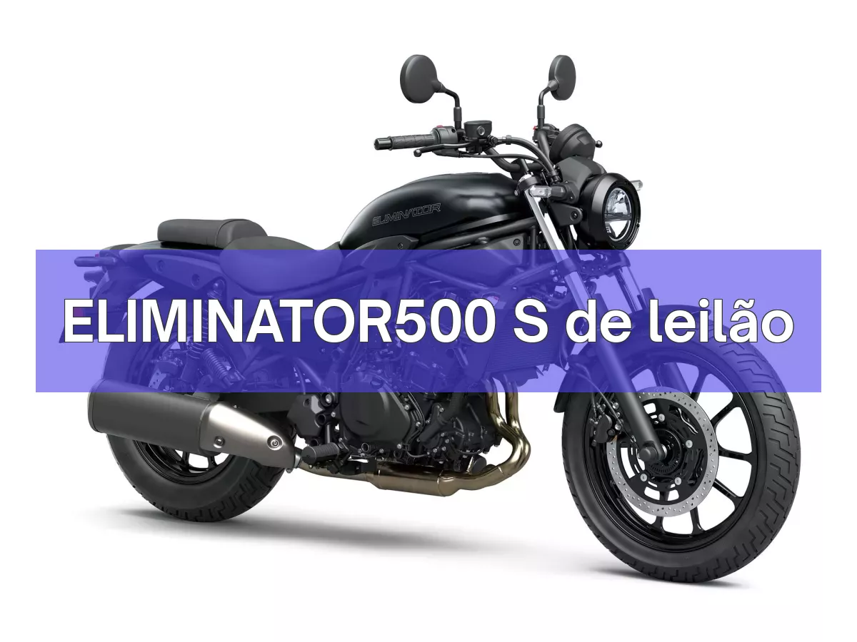 ELIMINATOR500 S em leilão