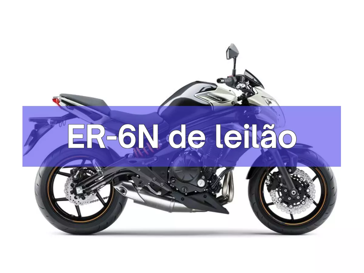 ER-6N em leilão