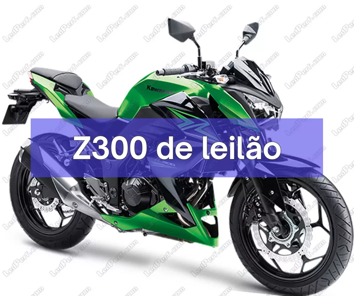 Z300 em leilão