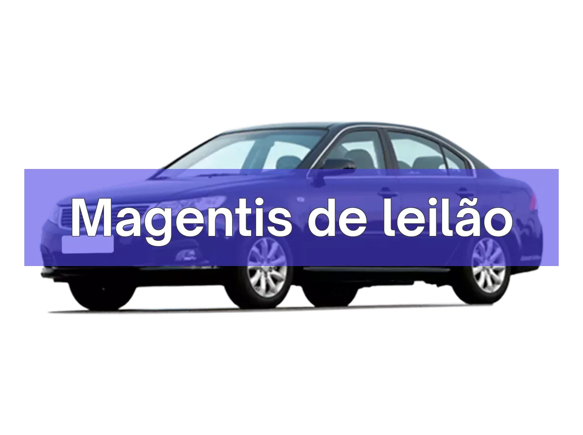 Magentis em leilão