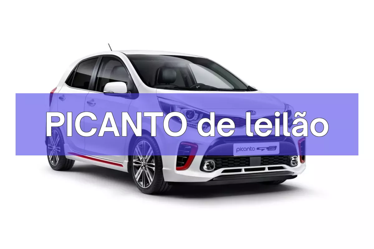 PICANTO em leilão