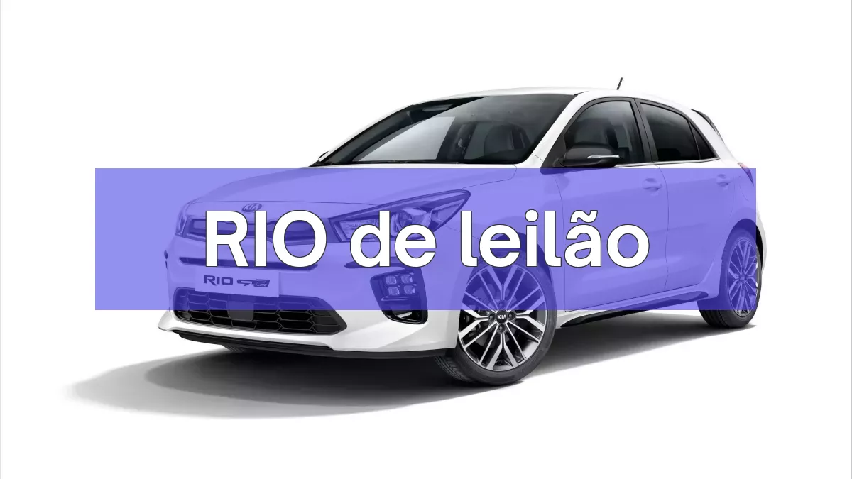 RIO em leilão