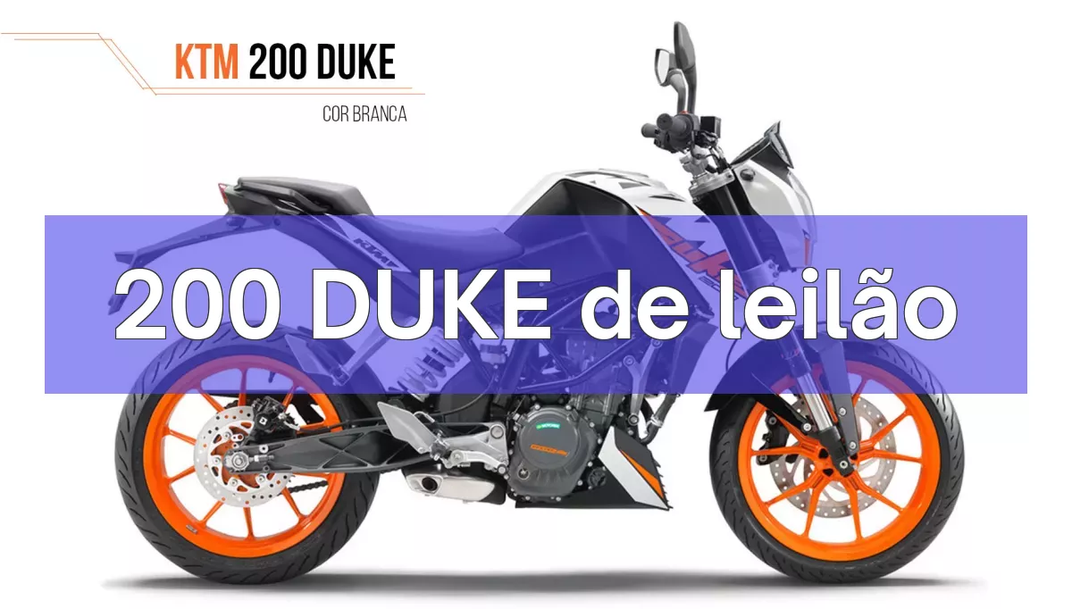 200 DUKE em leilão
