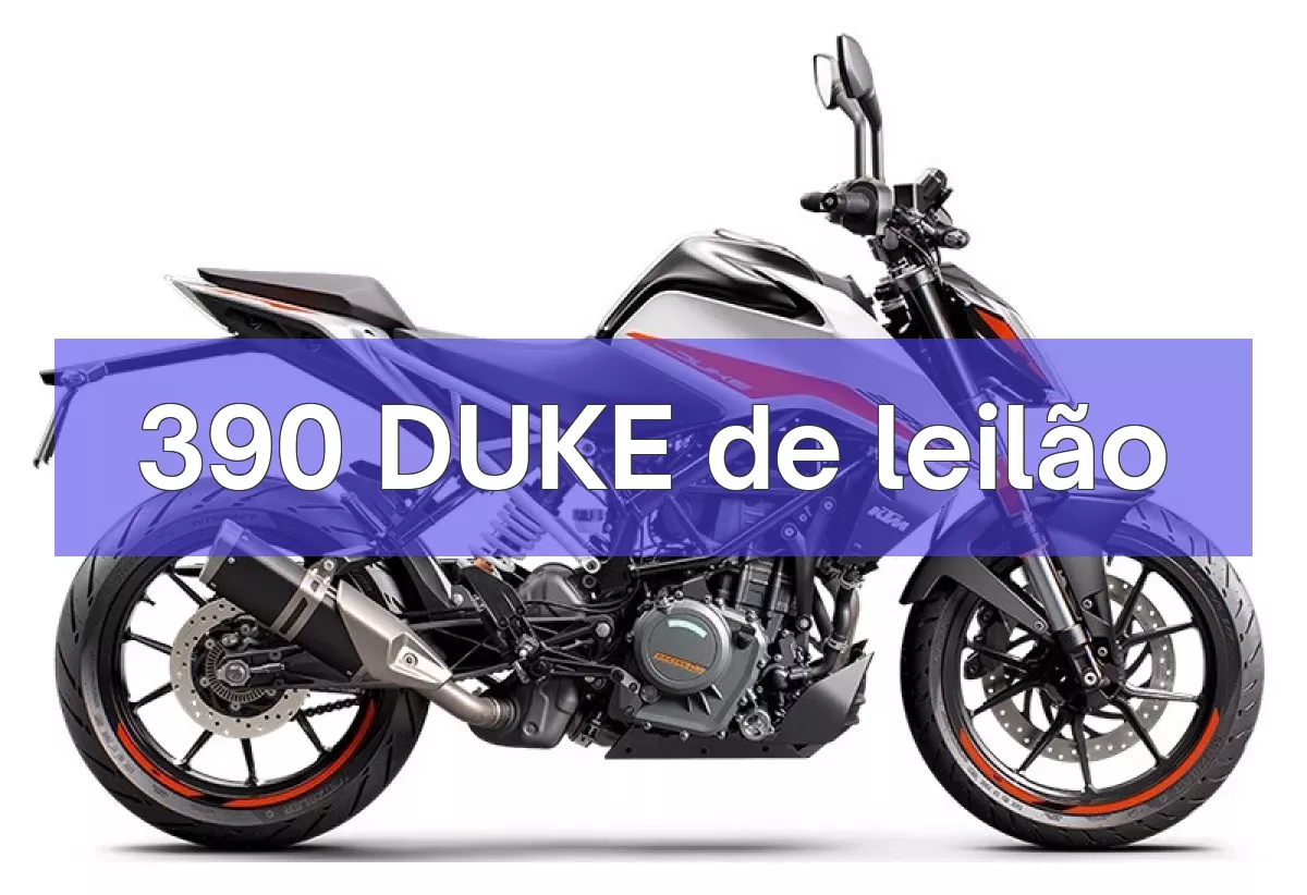 390 DUKE em leilão