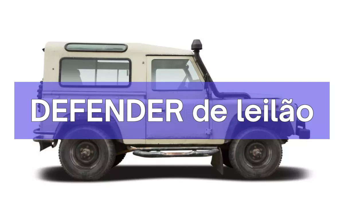 DEFENDER em leilão