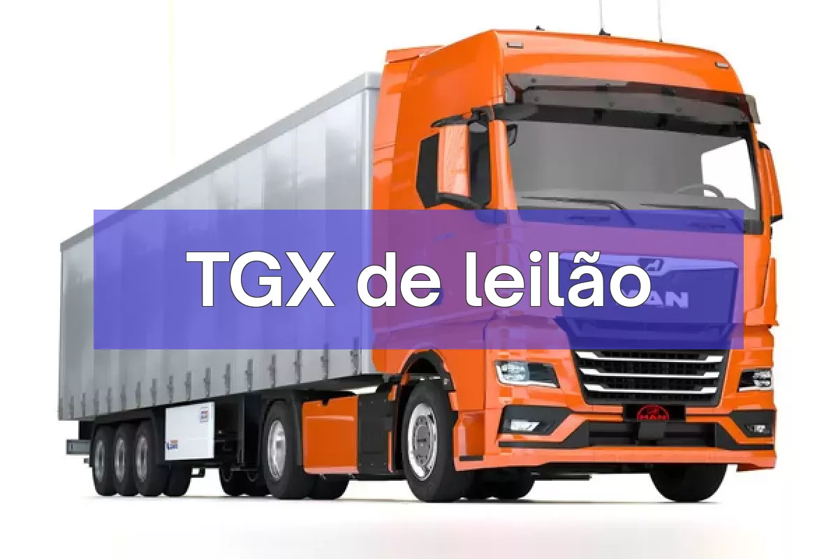 TGX em leilão
