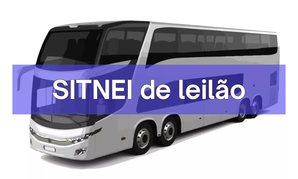 SITNEI em leilão