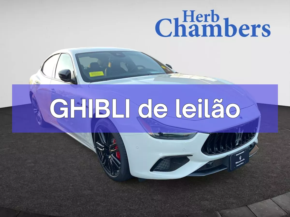 GHIBLI em leilão