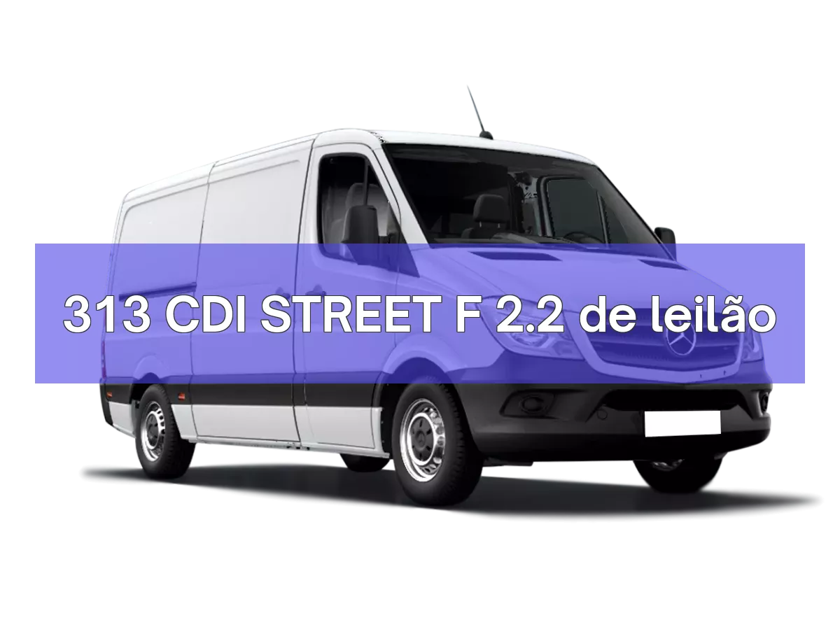 313 CDI STREET F 2.2 em leilão