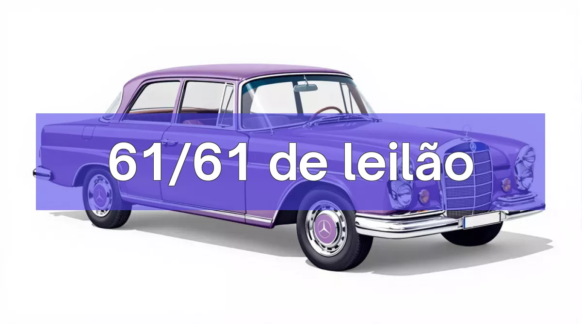 61/61 em leilão