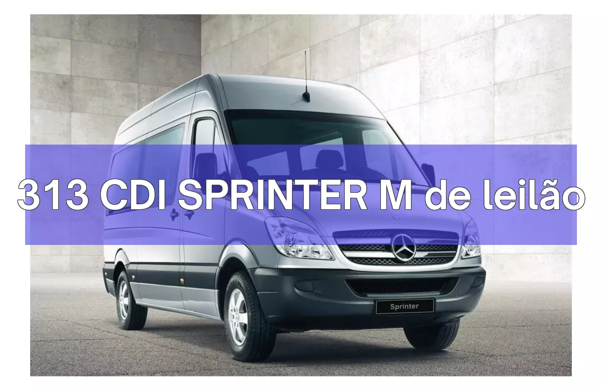 313 CDI SPRINTER M em leilão