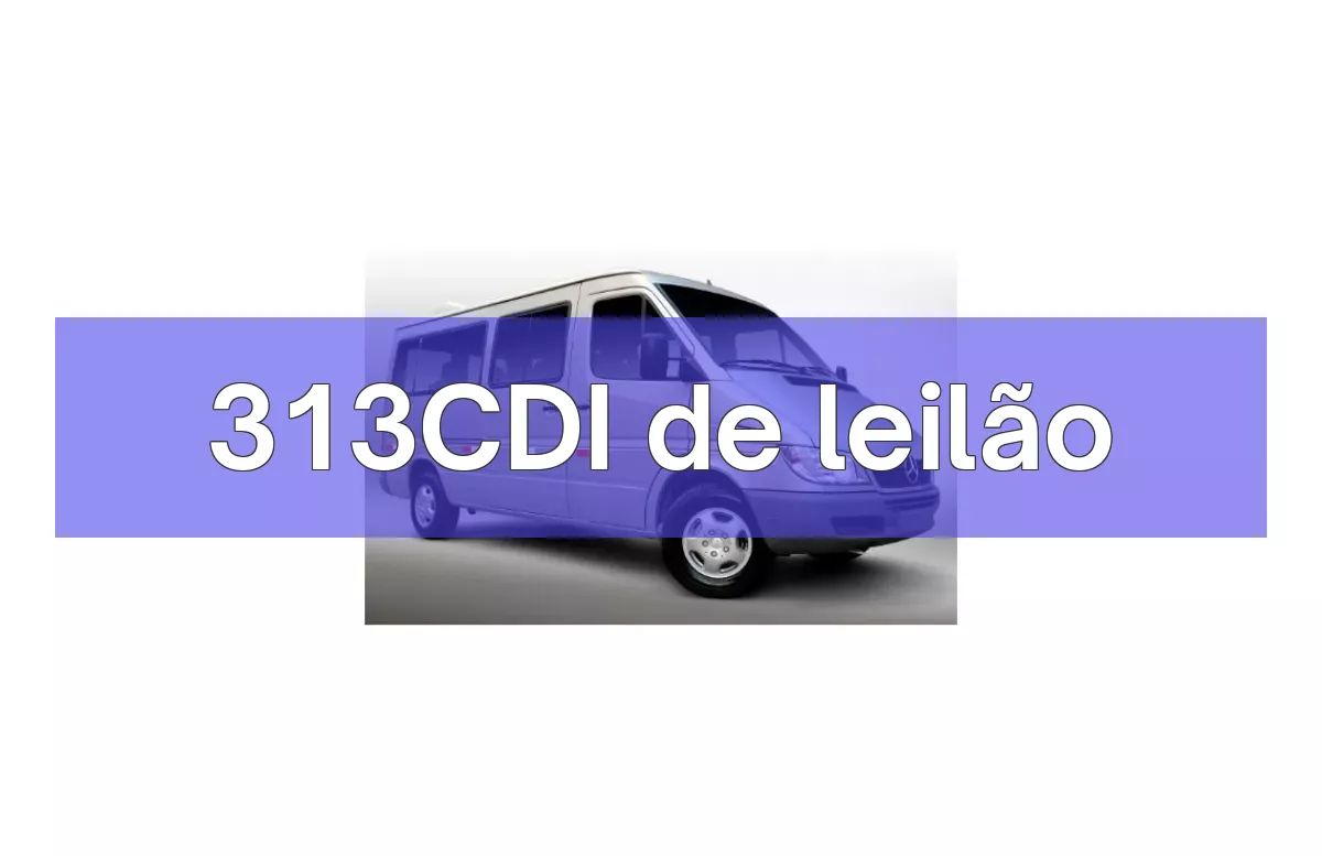 313CDI em leilão