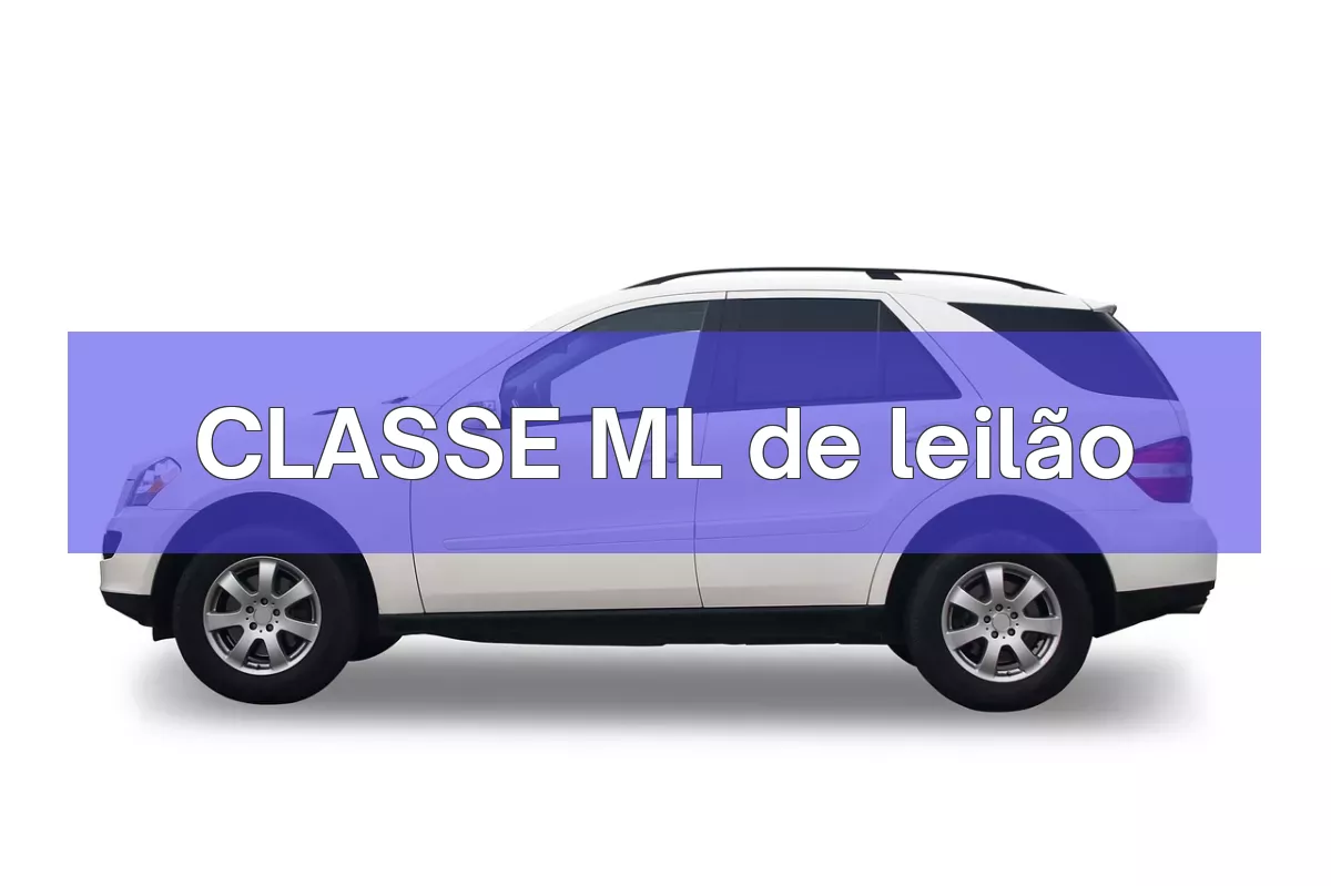 CLASSE ML em leilão