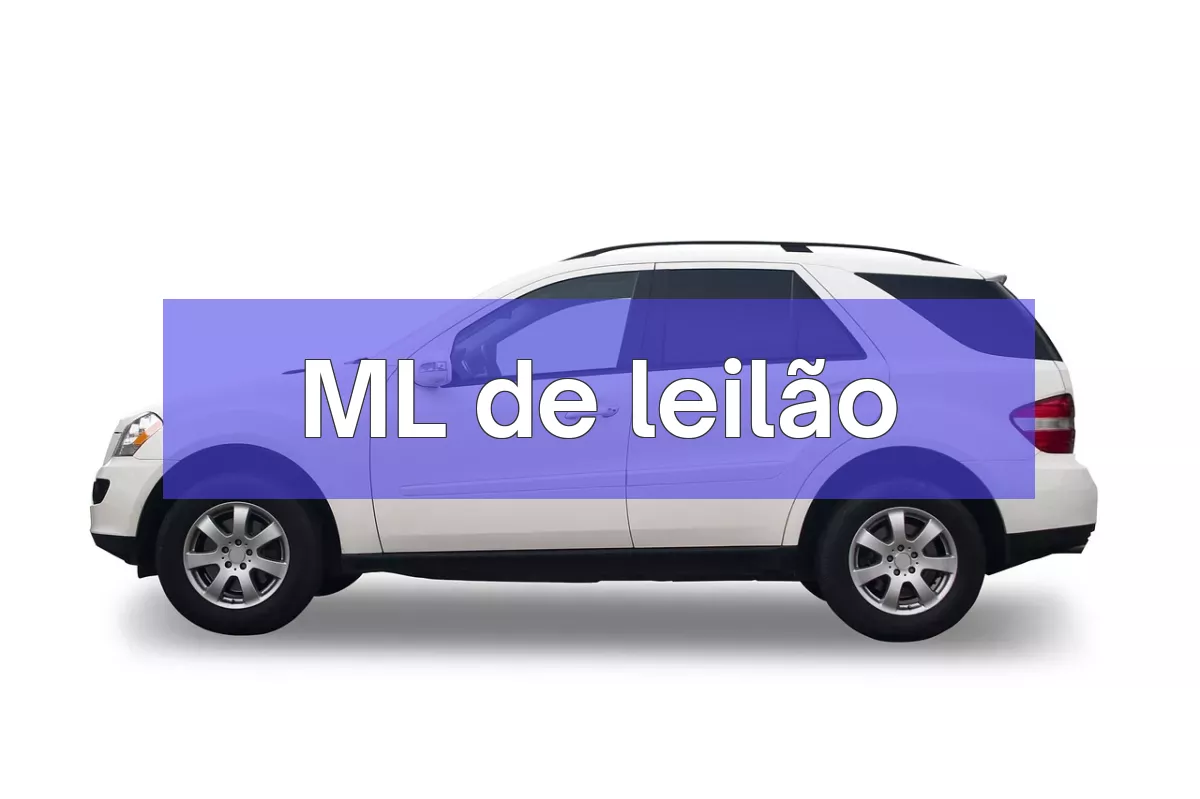 ML em leilão