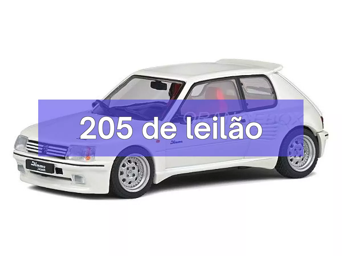 205 em leilão