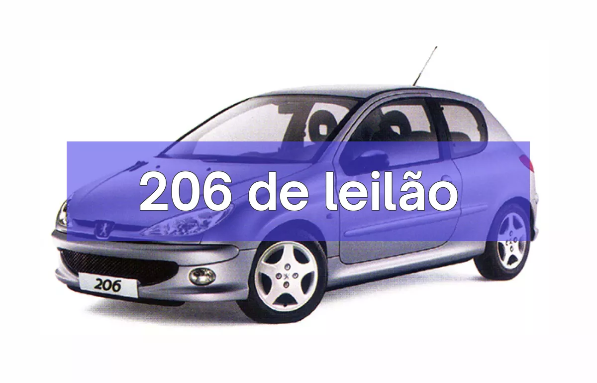 206 em leilão