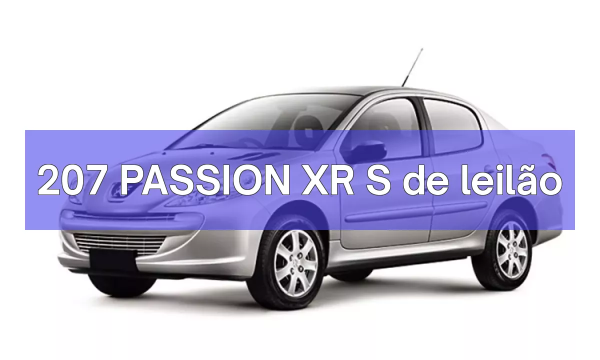 207 PASSION XR S em leilão