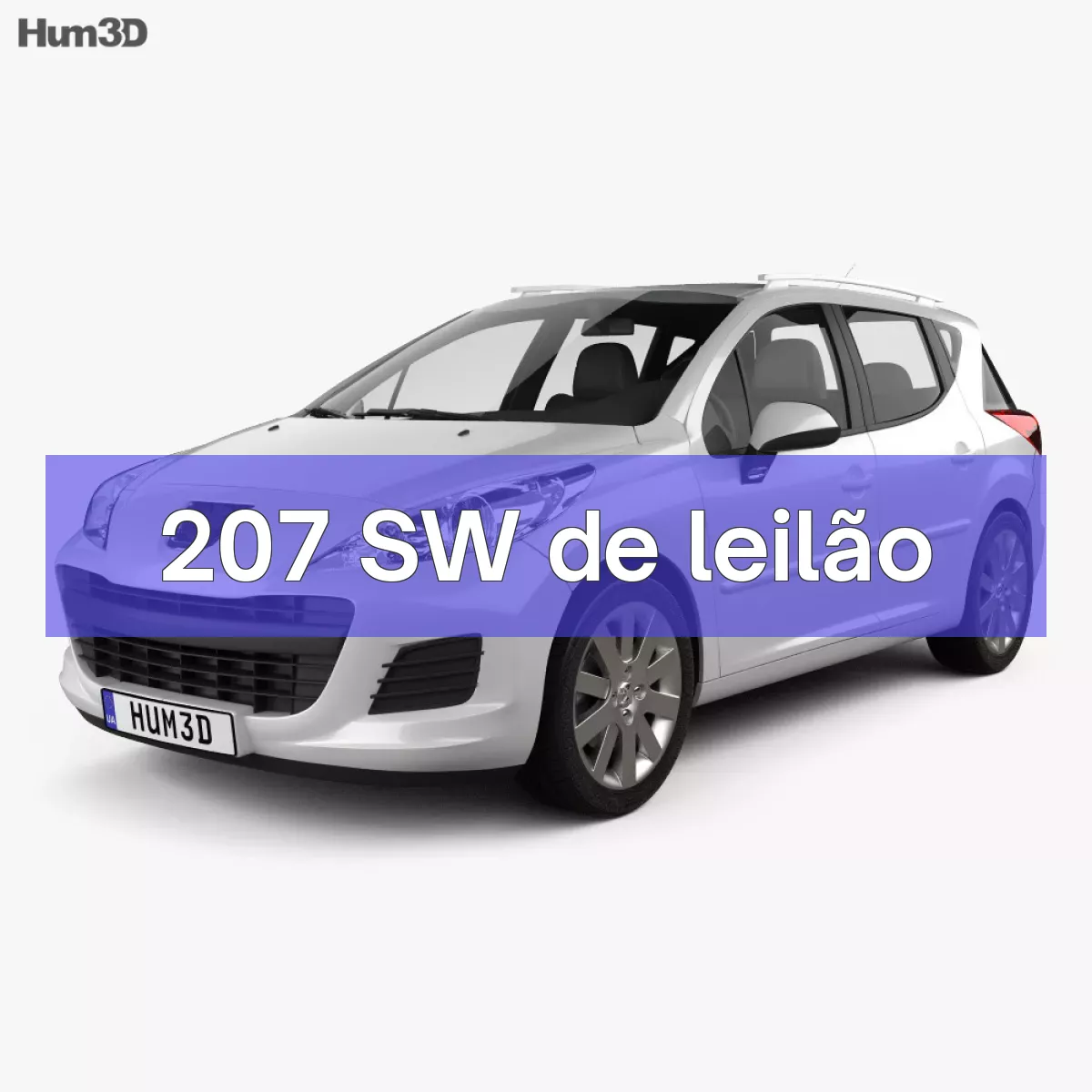 207 SW em leilão