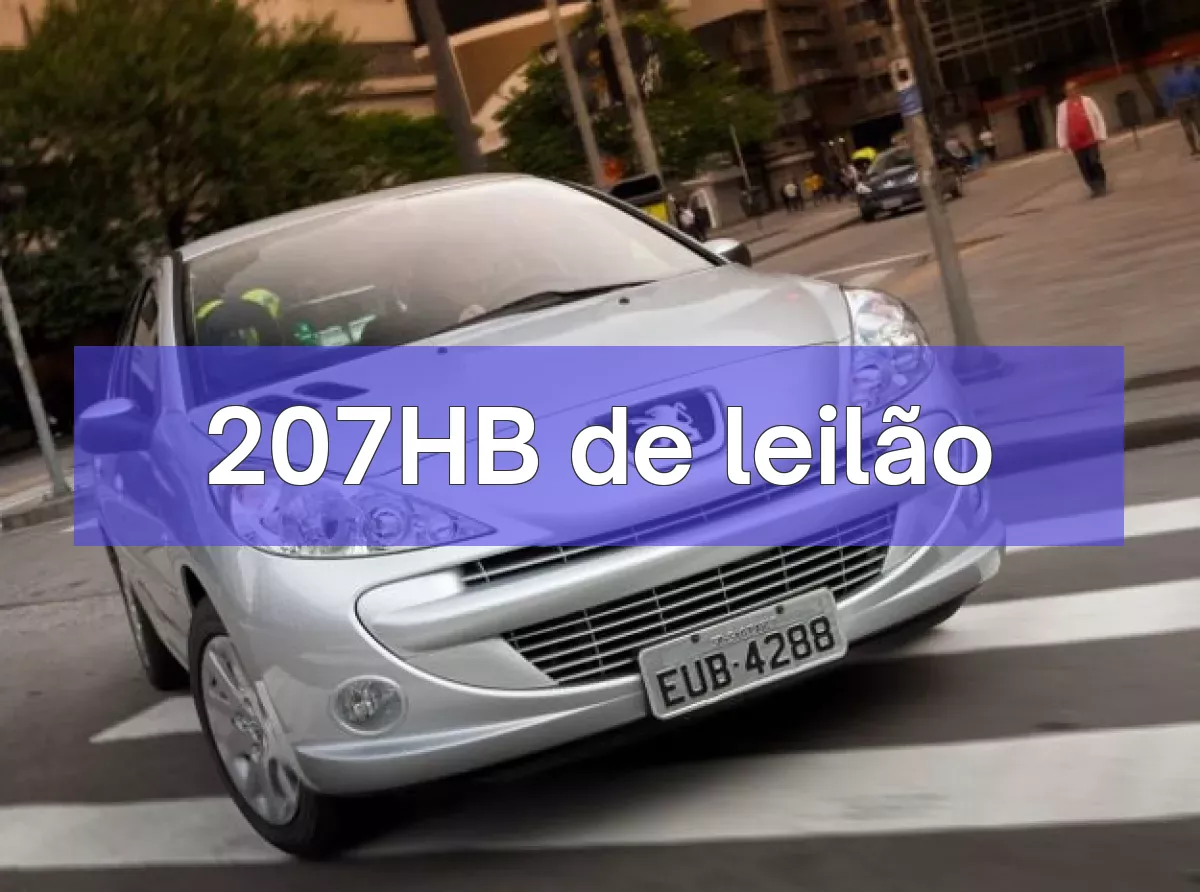 207HB em leilão