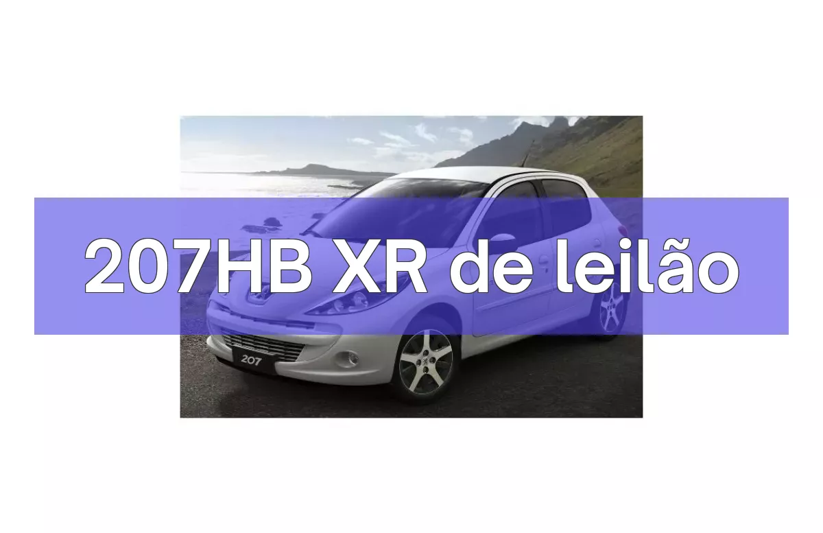 207HB XR em leilão