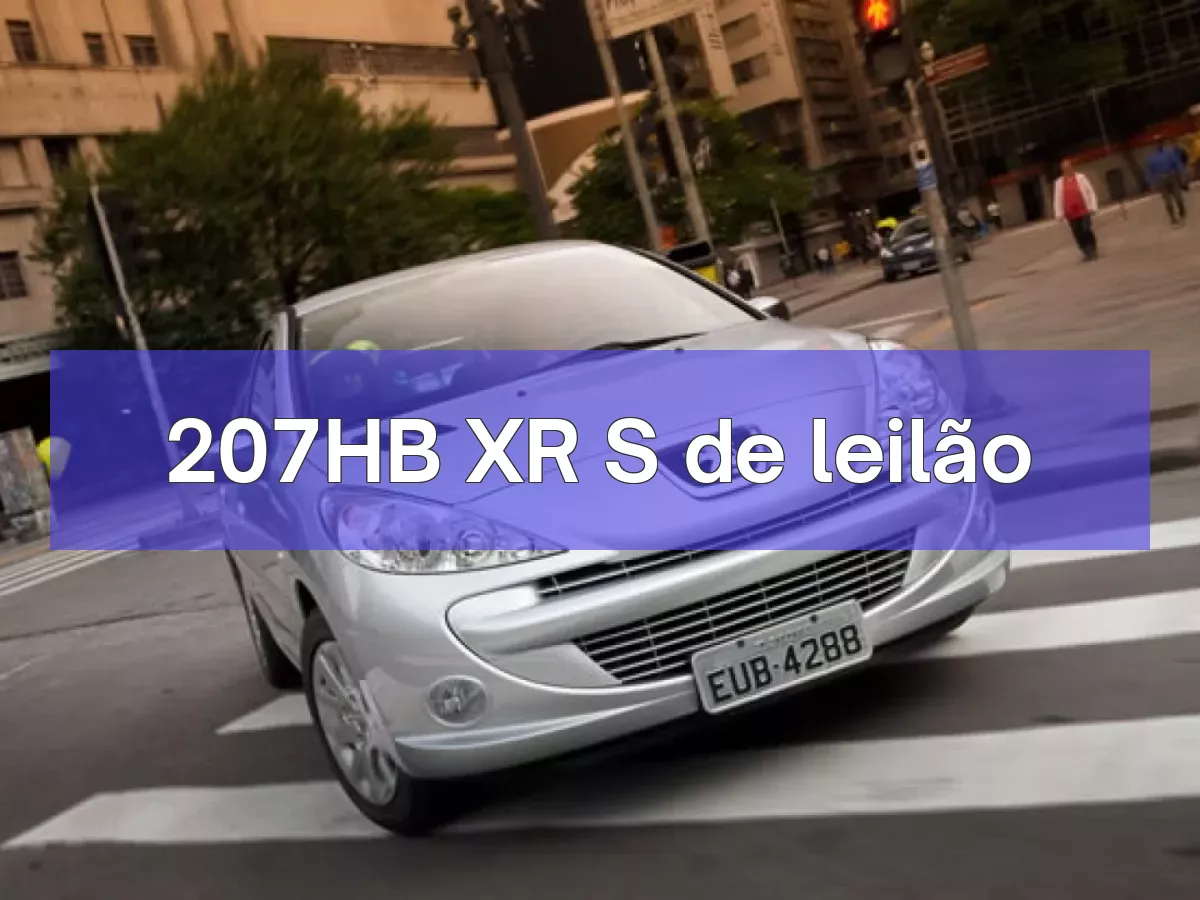 207HB XR S em leilão