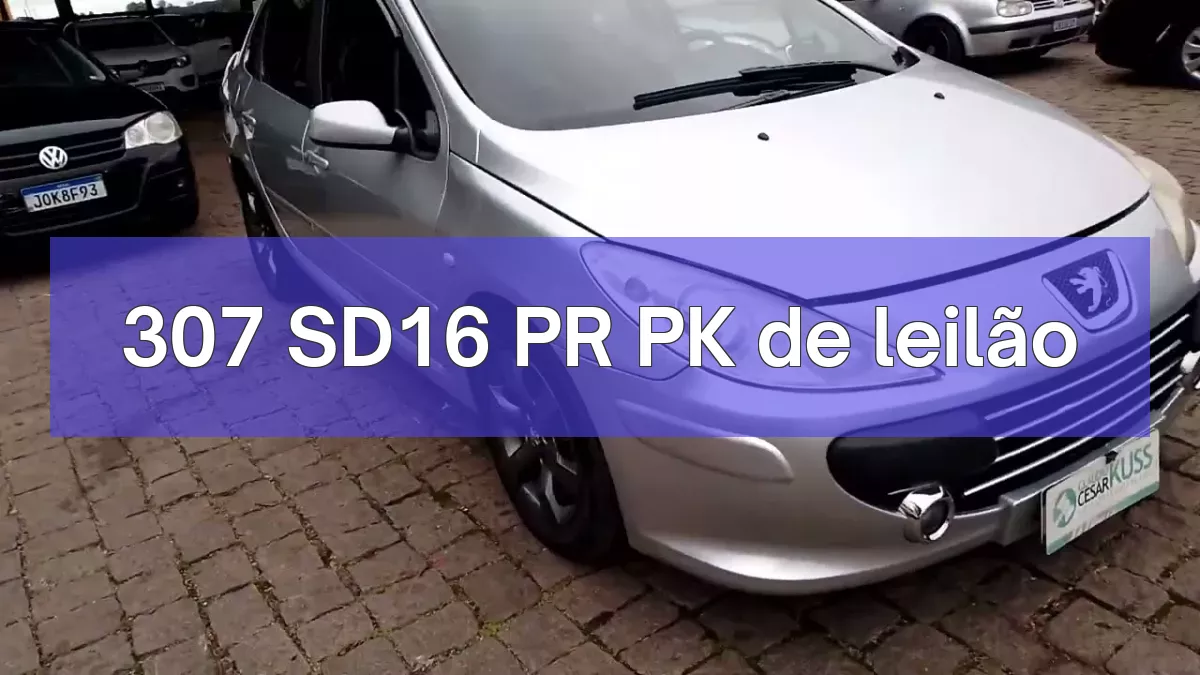 307 SD16 PR PK em leilão