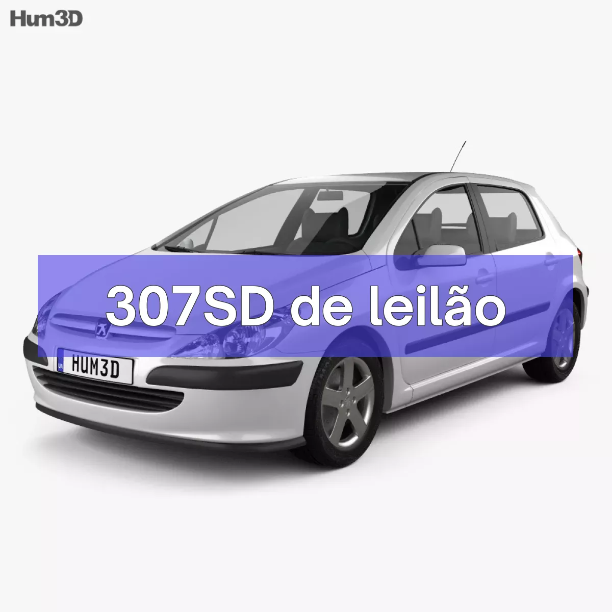 307SD em leilão