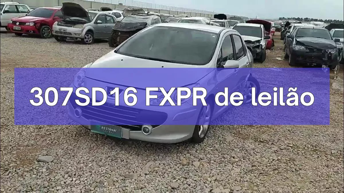307SD16 FXPR em leilão