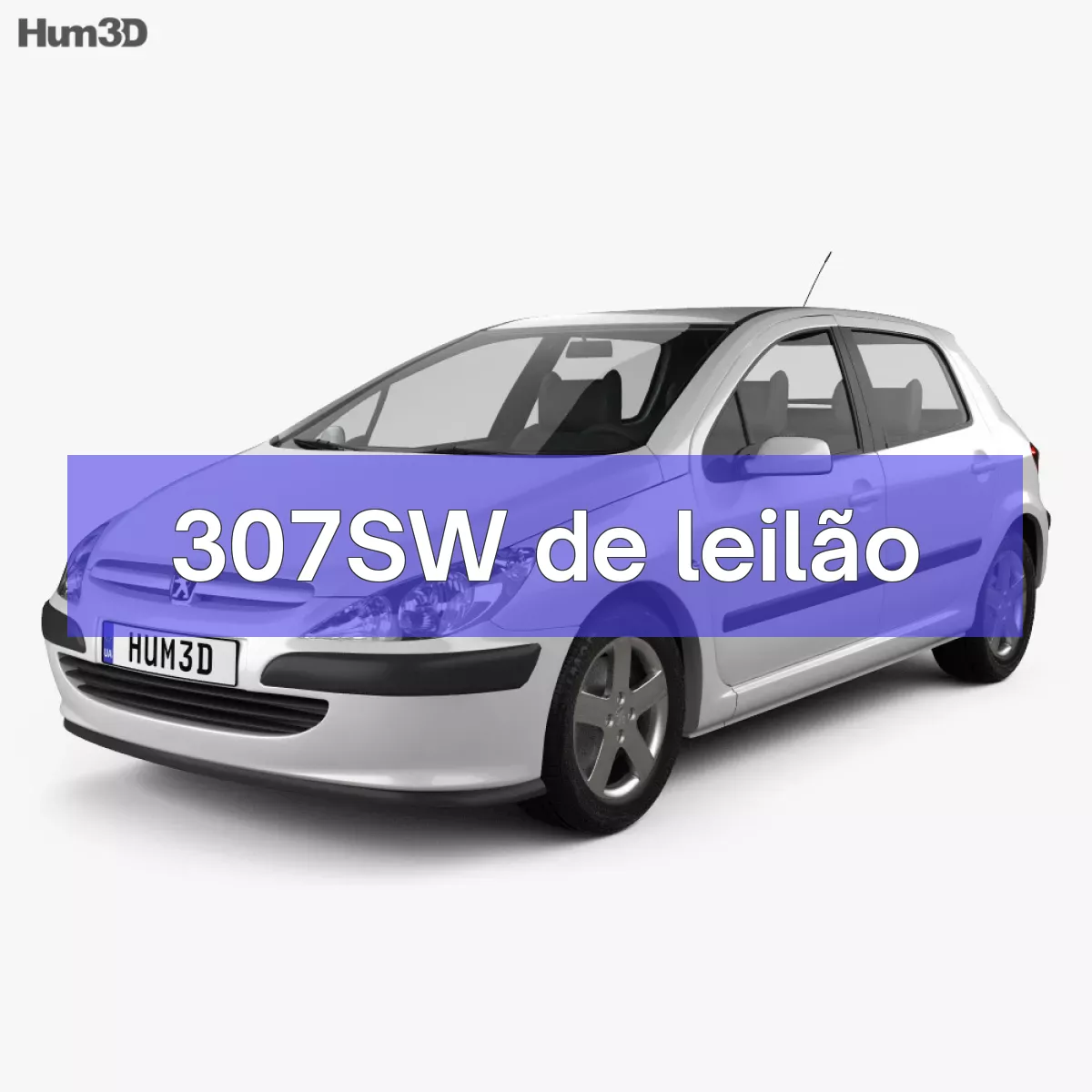 307SW em leilão