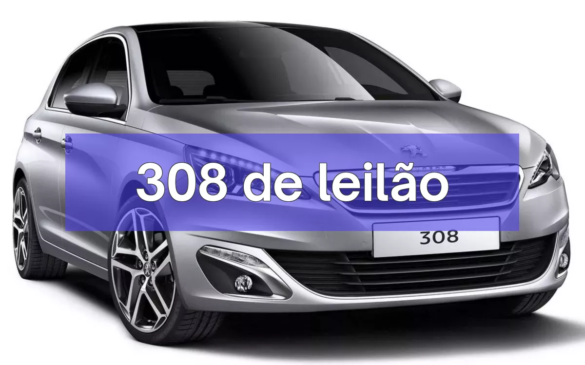 308 em leilão