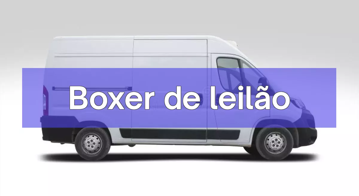 Boxer em leilão